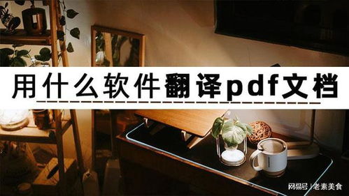 如何高效翻譯PDF文檔？三款人工智能軟件深度解析與應(yīng)用開(kāi)發(fā)趨勢(shì)